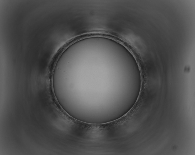 X0000095671360200801081029