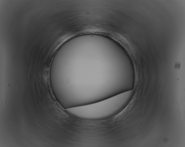 X0000095671361200801081029