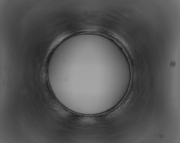 X0000095671362200801081029