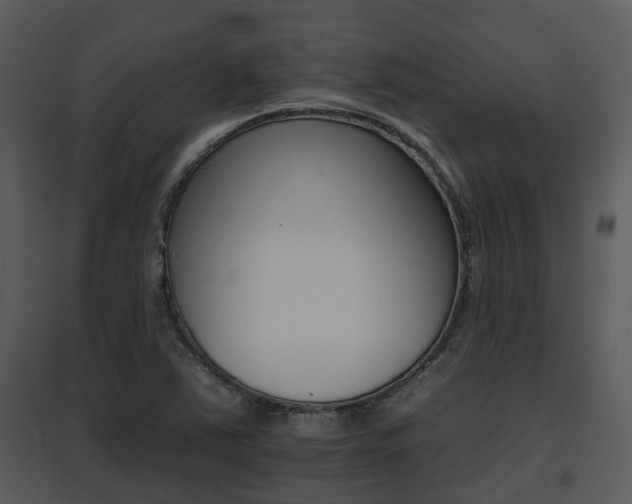 X0000095671363200801081029