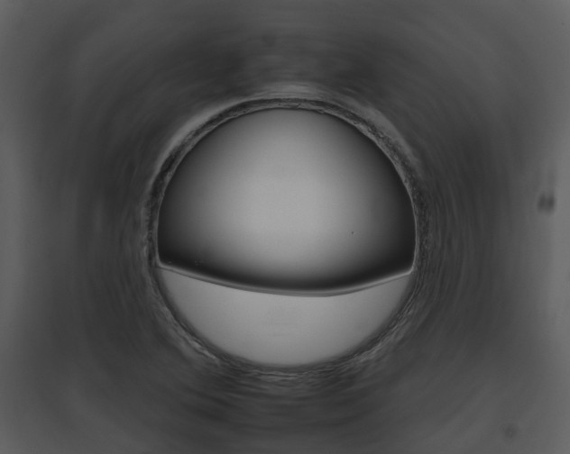 X0000095671364200801081029