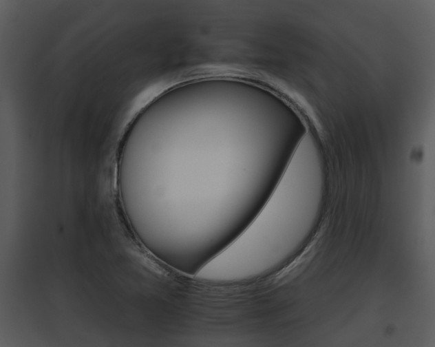 X0000095671365200801081029