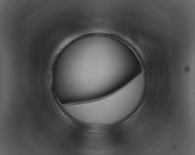 X0000095671367200801081029