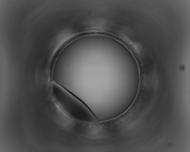 X0000095671368200801081029