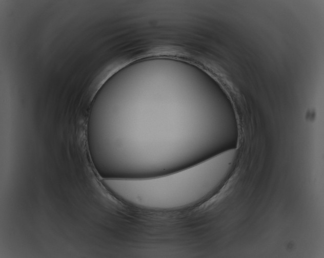 X0000095671369200801081029