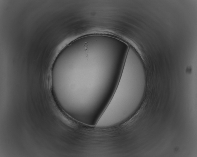 X0000095671371200801081029