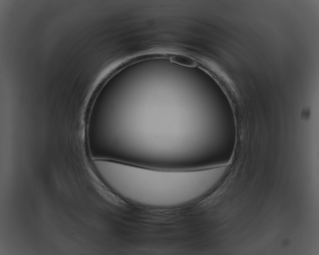 X0000095671372200801081029