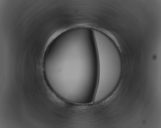 X0000095671373200801081029