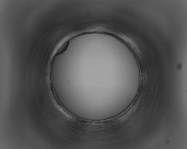 X0000095671374200801081029