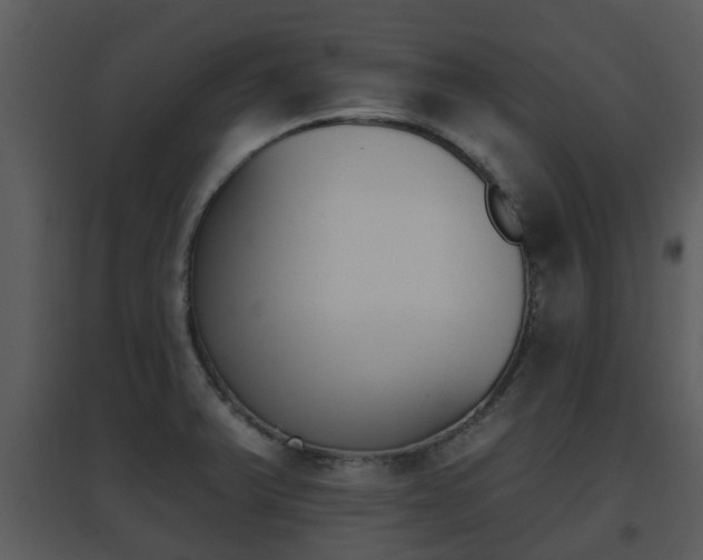 X0000095671375200801081029