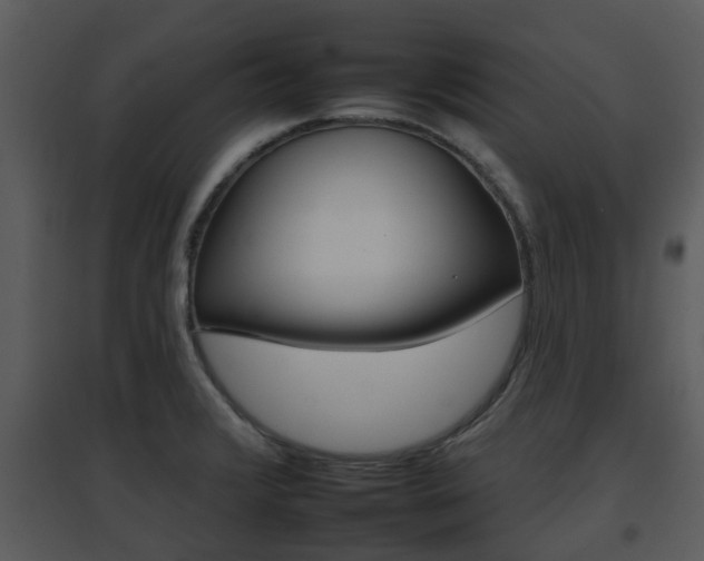 X0000095671376200801081029