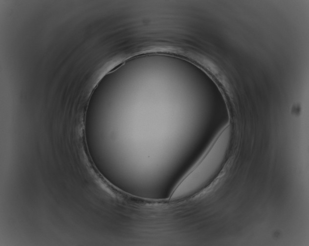 X0000095671377200801081029