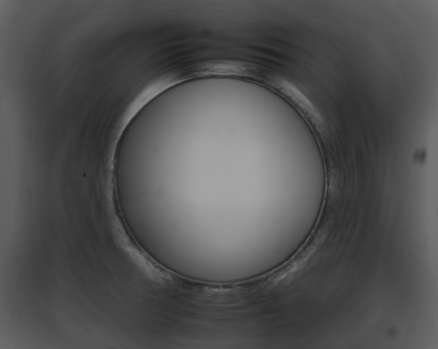 X0000095671378200801081029