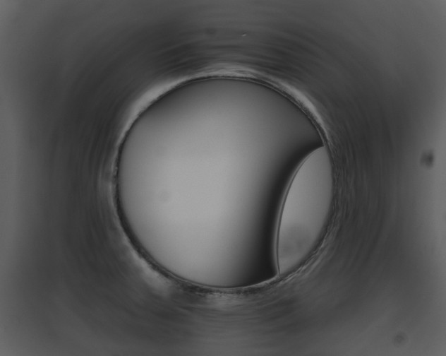 X0000095671379200801081029