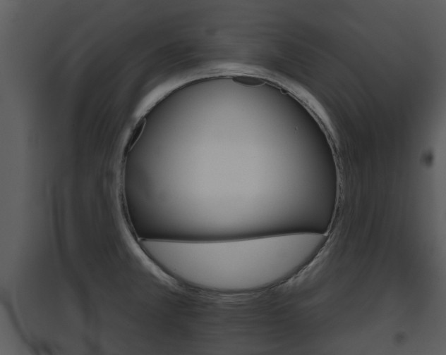 X0000095671381200801081029