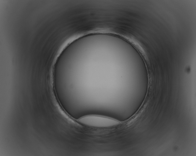 X0000095671382200801081029