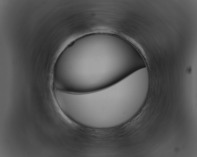 X0000095671383200801081029