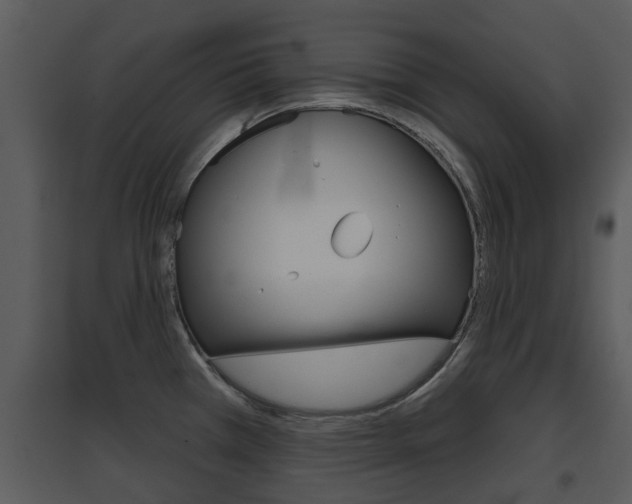 X0000095671385200801081029