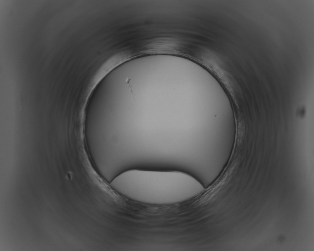 X0000095671386200801081029