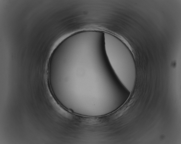 X0000095671387200801081029