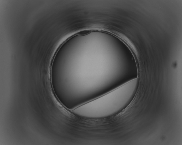 X0000095671388200801081029