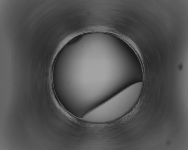 X0000095671389200801081029