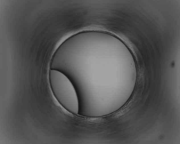 X0000095671390200801081029