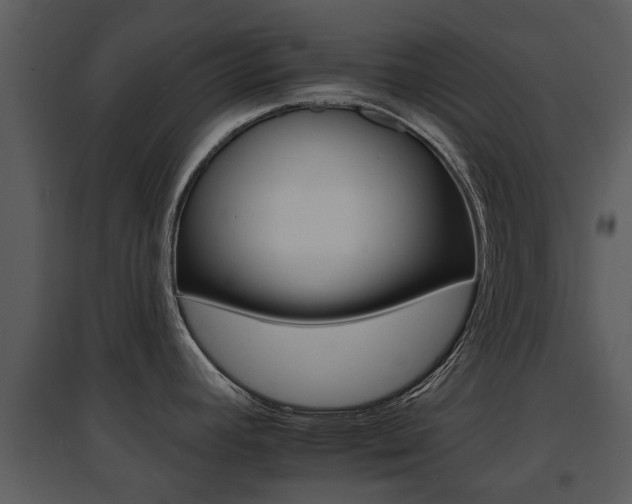 X0000095671392200801081029