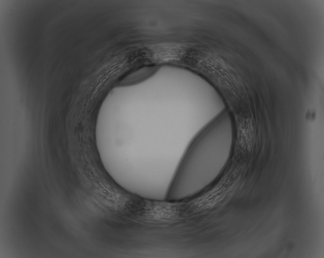 X0000095671393200801081028