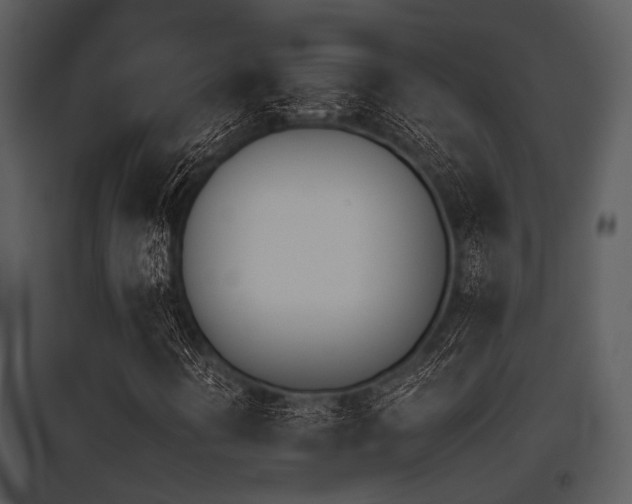 X0000095671394200801081028