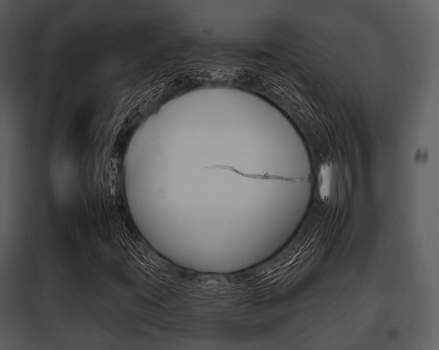 X0000095671395200801081028