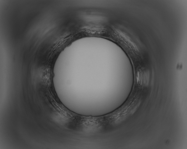 X0000095671396200801081028
