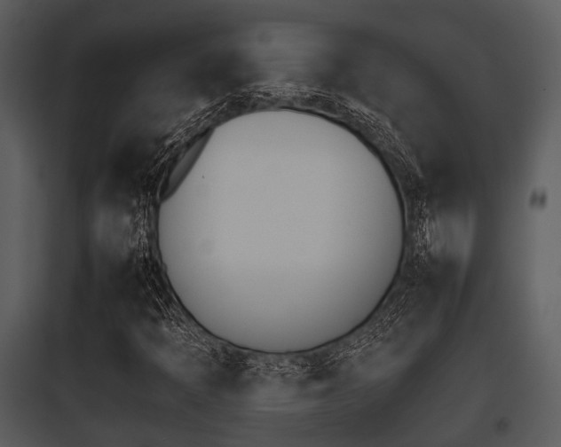 X0000095671397200801081028