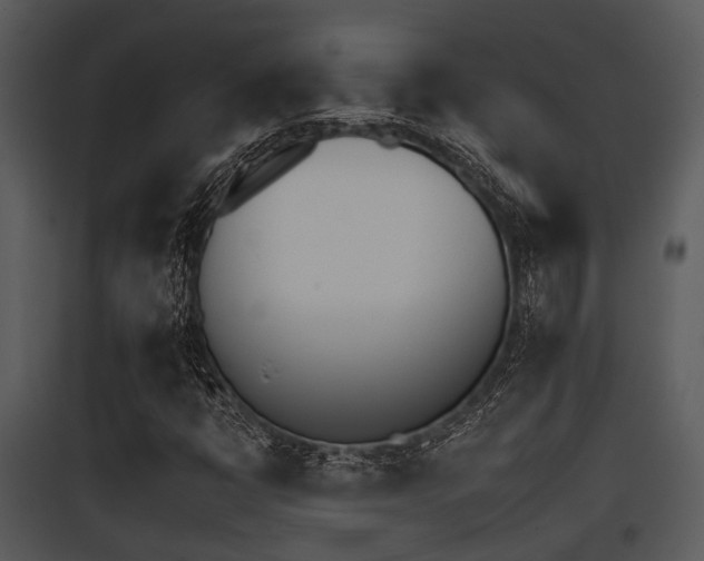 X0000095671398200801081028