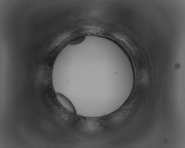 X0000095671399200801081028
