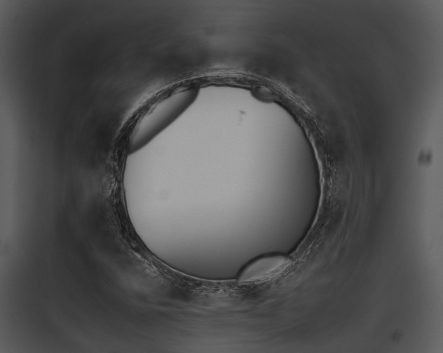 X0000095671400200801081028