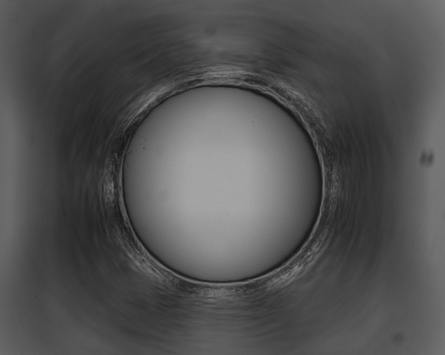 X0000095671401200801081028