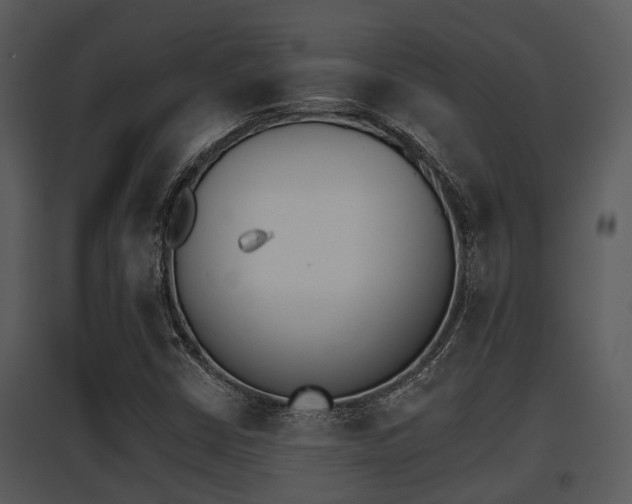 X0000095671402200801081028