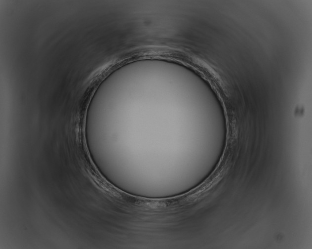 X0000095671403200801081028