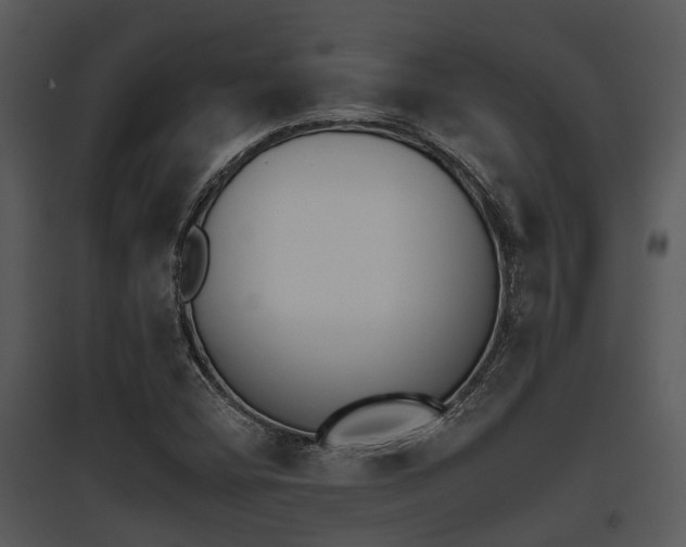 X0000095671404200801081028