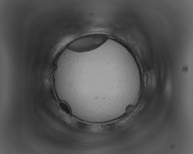 X0000095671405200801081028