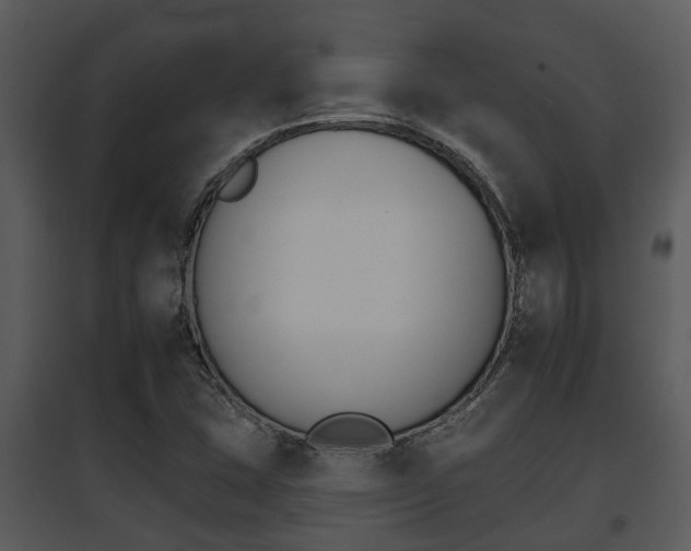 X0000095671407200801081028