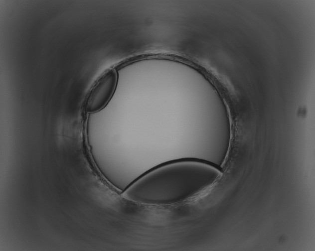 X0000095671408200801081028