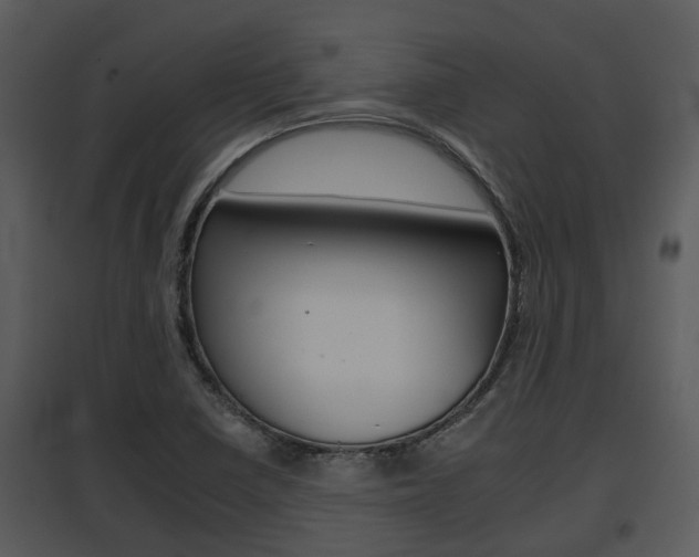 X0000095671410200801081028
