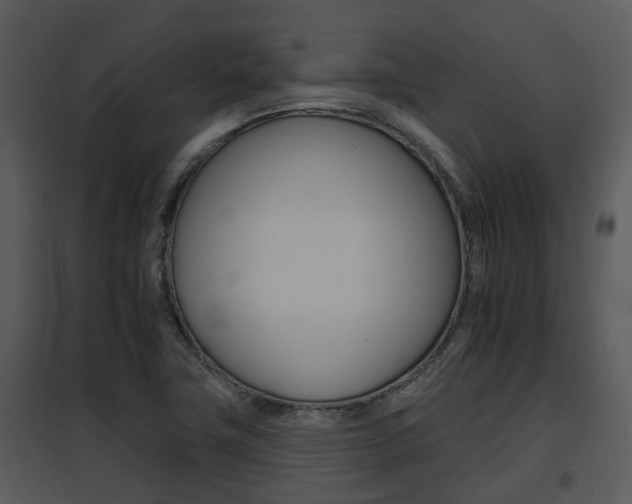 X0000095671411200801081028