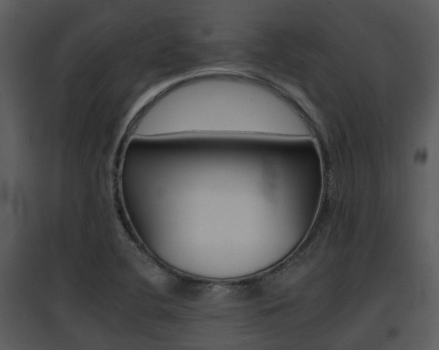 X0000095671412200801081028
