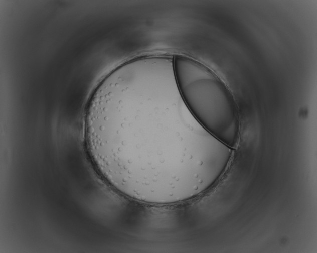 X0000095671413200801081028