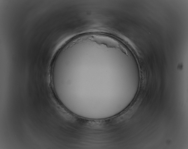 X0000095671415200801081028