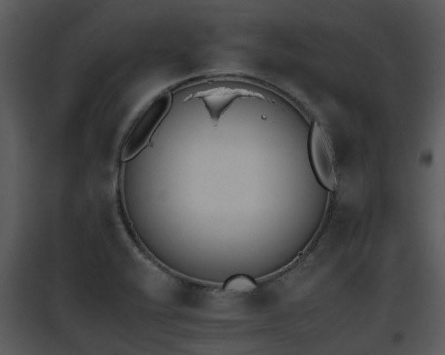 X0000095671416200801081028