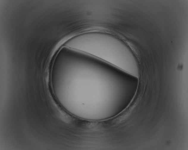 X0000095671418200801081028